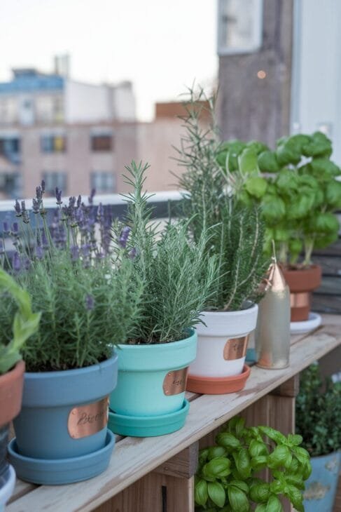Kräutergarten auf einem Boho Balkon mit Tontöpfen und Holzregal.